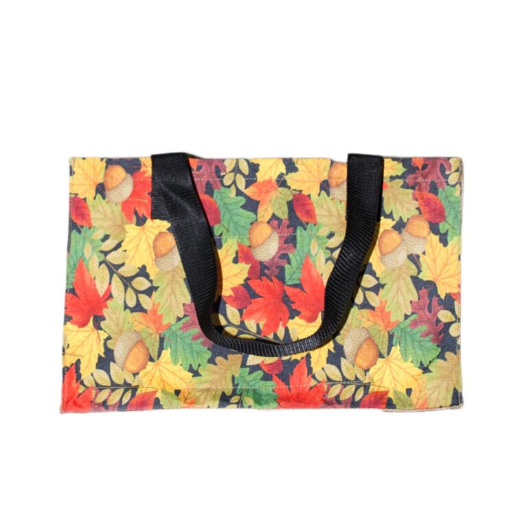 Fancy Bag