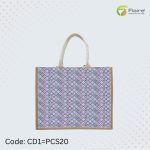CD1-PCS20